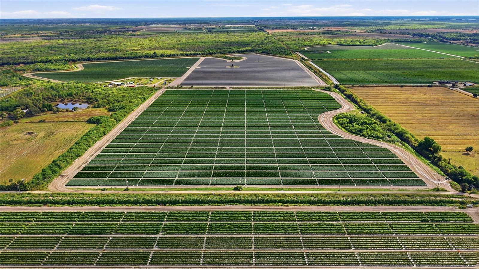 6150 PRINGLE LN, IMMOKALEE, FL, 34142