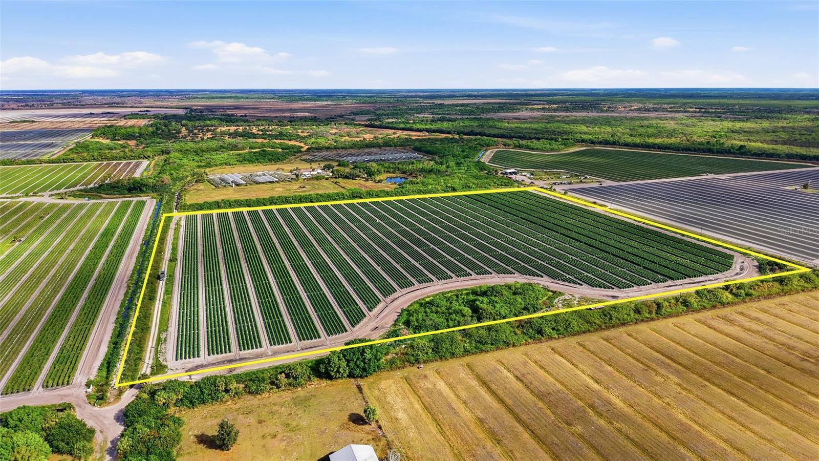 6150 PRINGLE LN, IMMOKALEE, FL, 34142