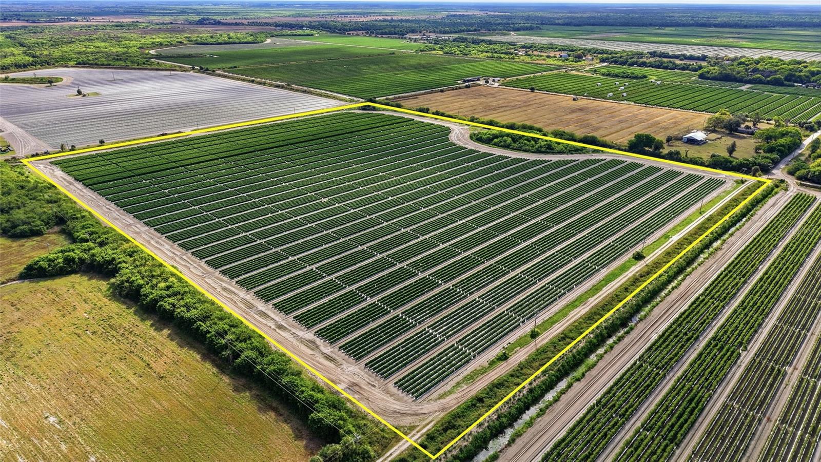 6150 PRINGLE LN, IMMOKALEE, FL, 34142