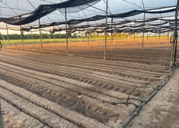 6150 PRINGLE LN, IMMOKALEE, FL, 34142