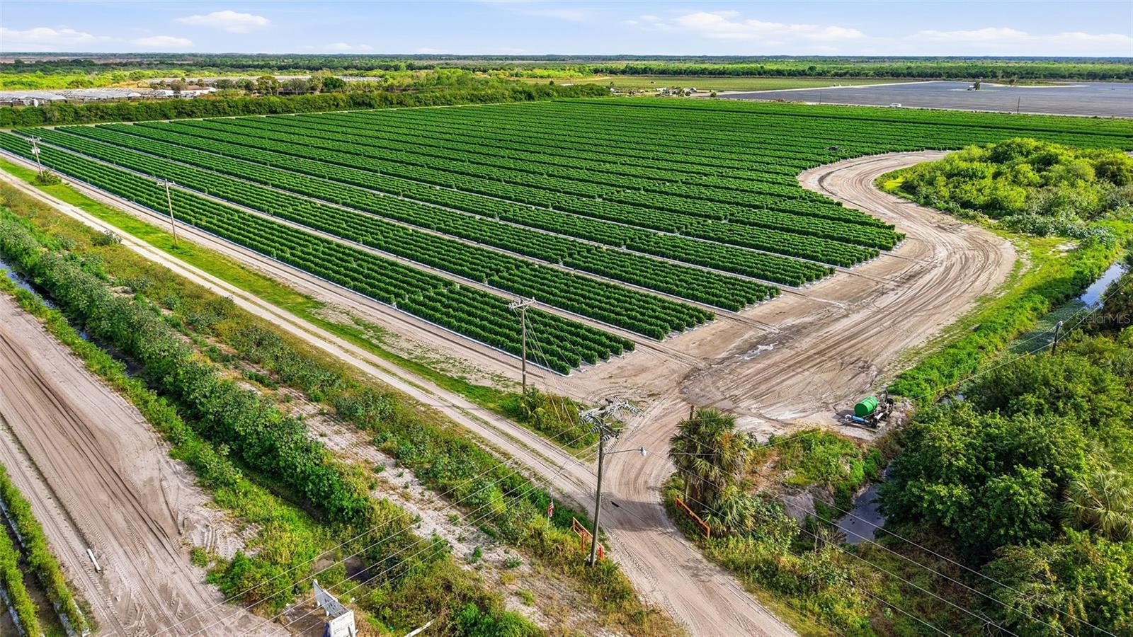 6150 PRINGLE LN, IMMOKALEE, FL, 34142