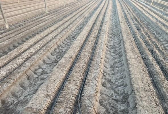 6150 PRINGLE LN, IMMOKALEE, FL, 34142