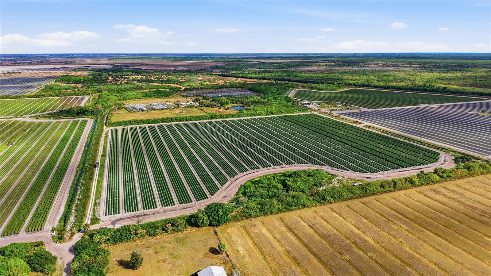 6150 PRINGLE LN, IMMOKALEE, FL, 34142