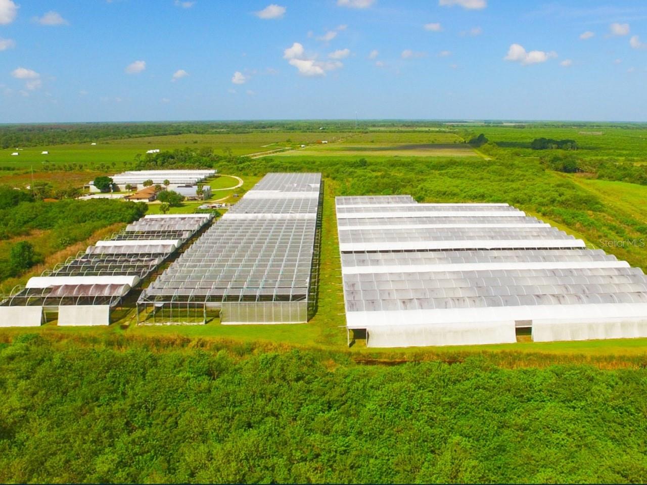 6150 PRINGLE LN, IMMOKALEE, FL, 34142