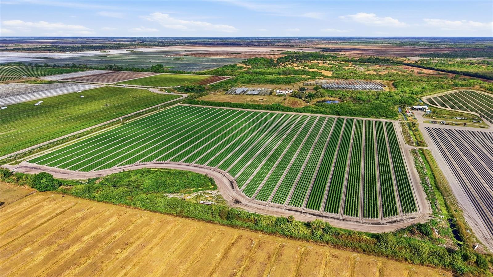 6150 PRINGLE LN, IMMOKALEE, FL, 34142