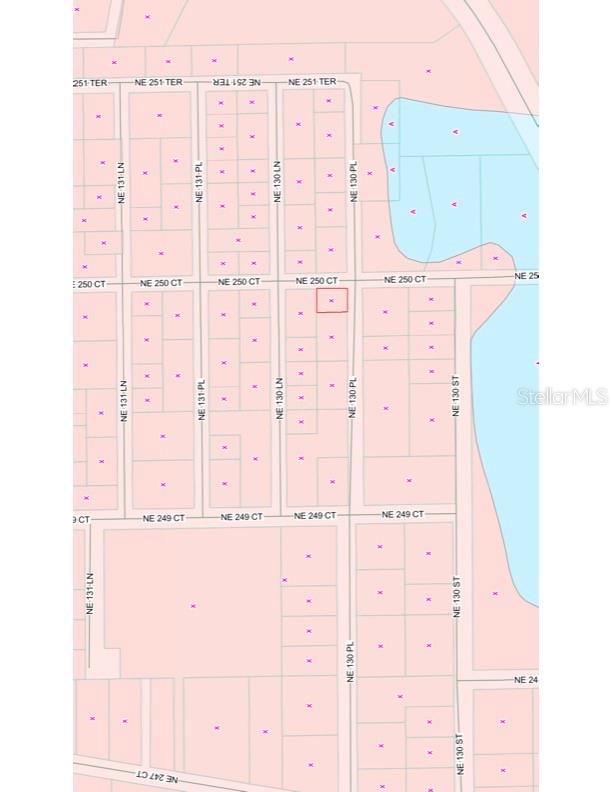 TBD NE 130 PL, SALT SPRINGS, FL, 32134