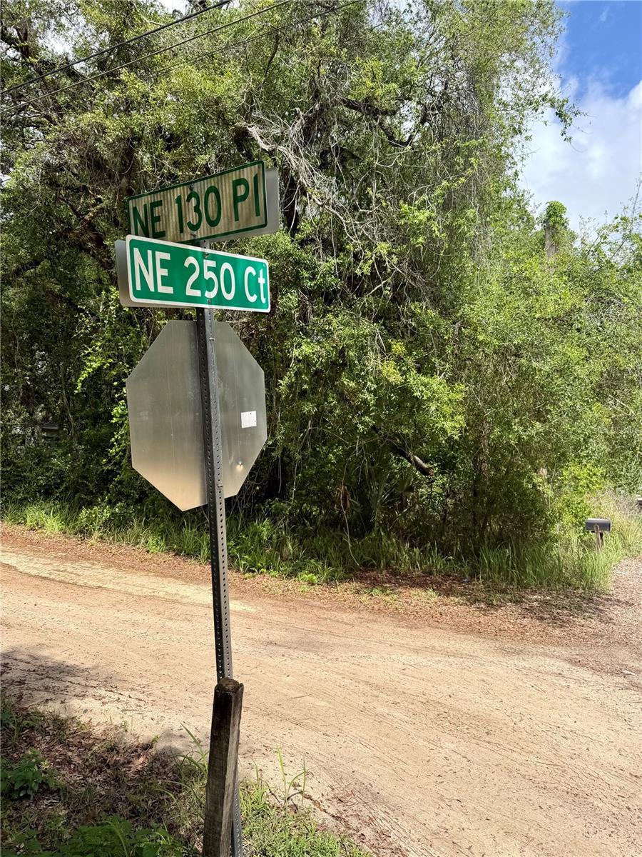TBD NE 130 PL, SALT SPRINGS, FL, 32134