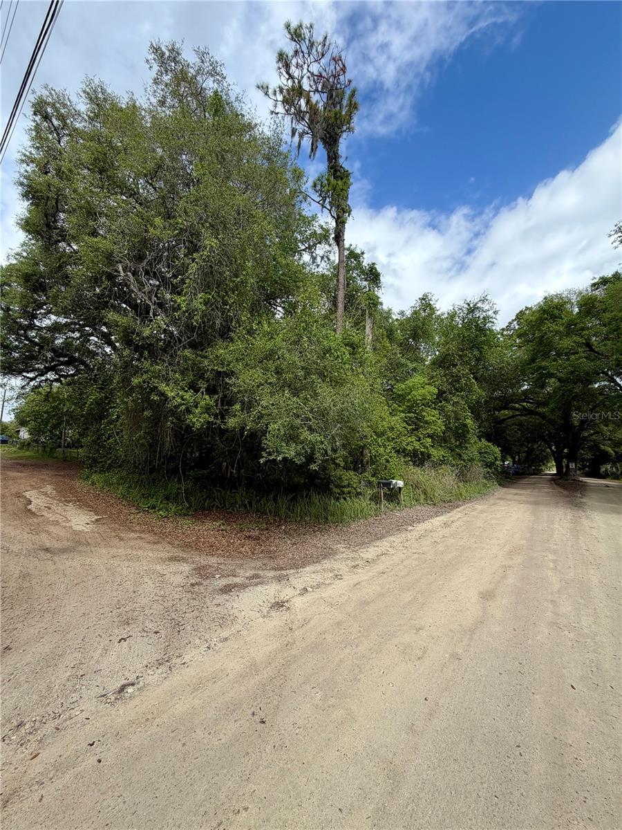TBD NE 130 PL, SALT SPRINGS, FL, 32134