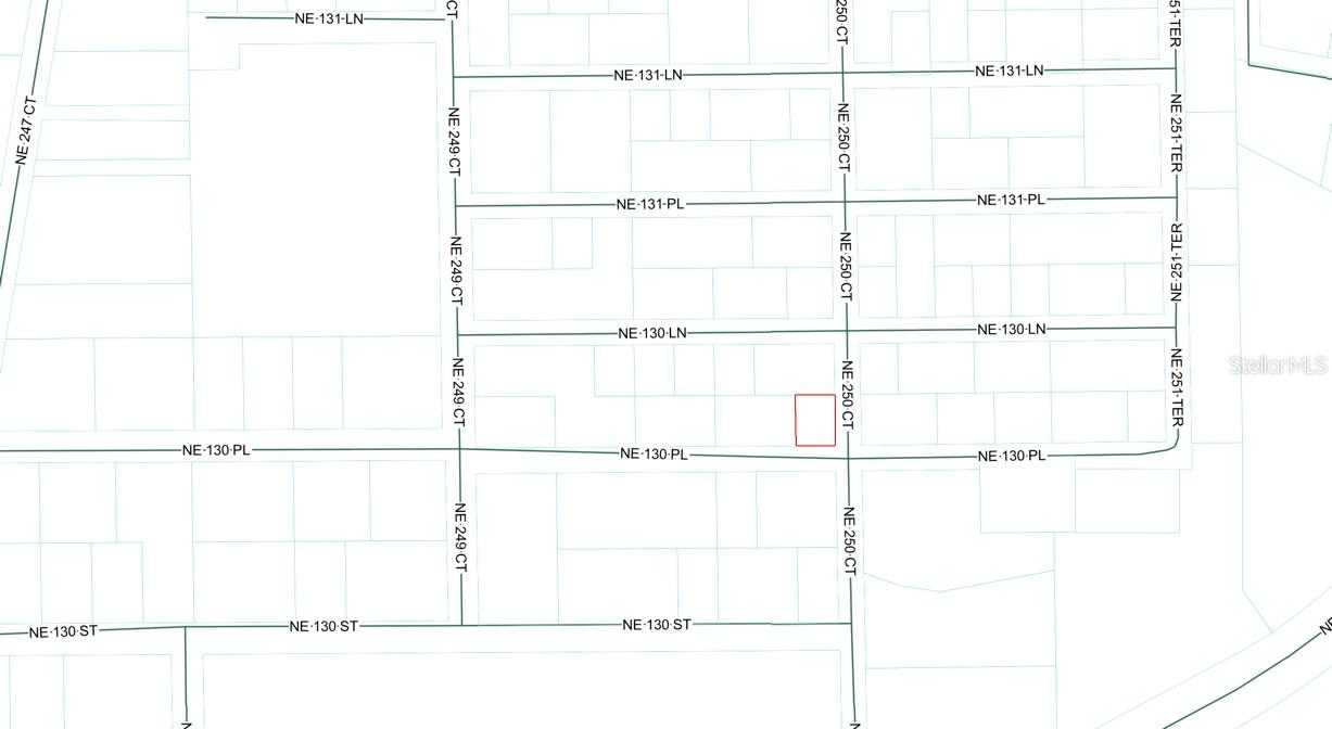 TBD NE 130 PL, SALT SPRINGS, FL, 32134