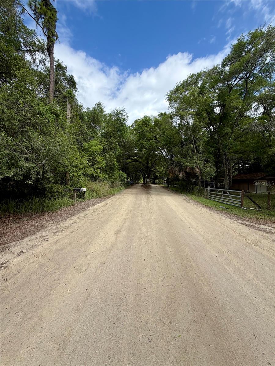 TBD NE 130 PL, SALT SPRINGS, FL, 32134