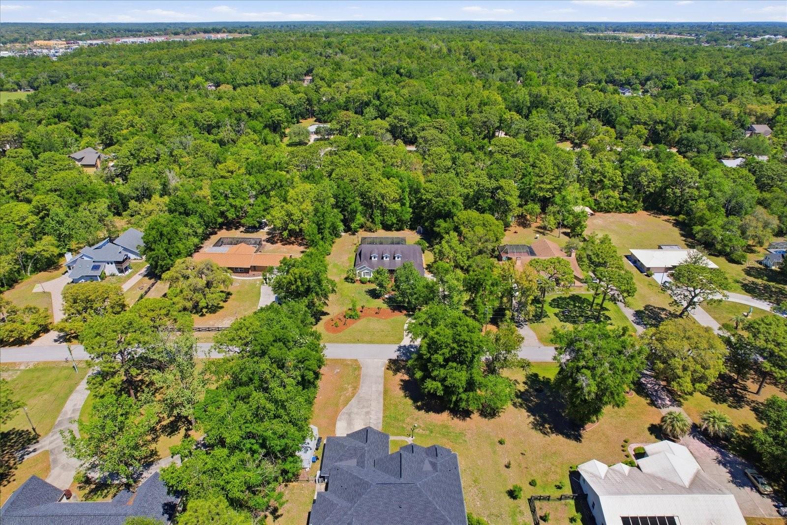 2687 W ANTIOCH LN, LECANTO, FL, 34461