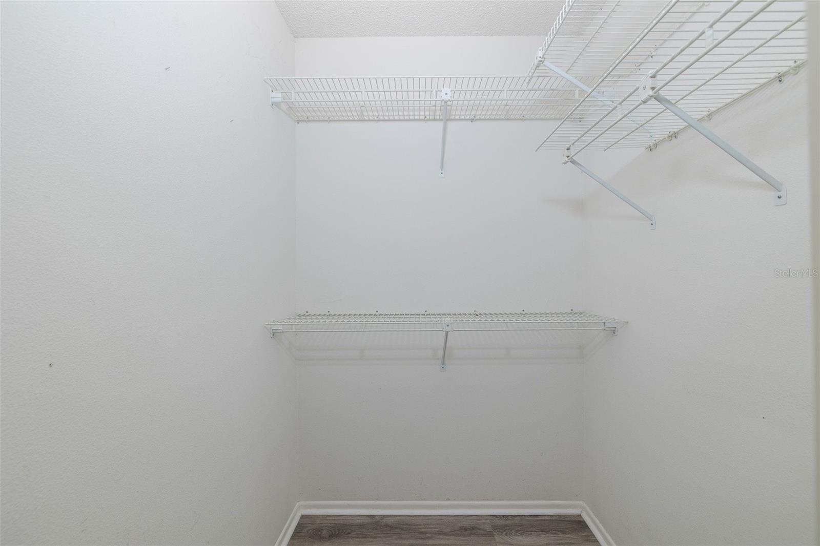 3843 GOLDFINCH CT, PALM HARBOR, FL, 34685