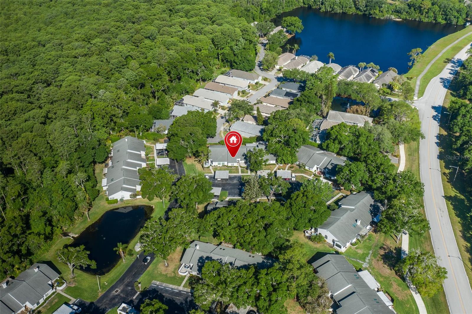 3843 GOLDFINCH CT, PALM HARBOR, FL, 34685