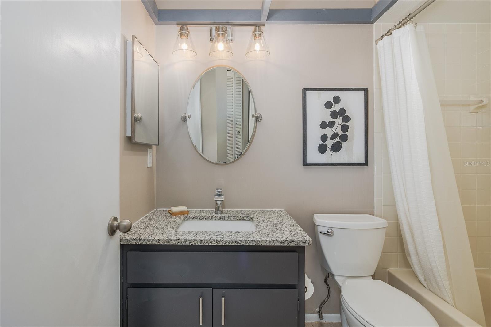 3843 GOLDFINCH CT, PALM HARBOR, FL, 34685