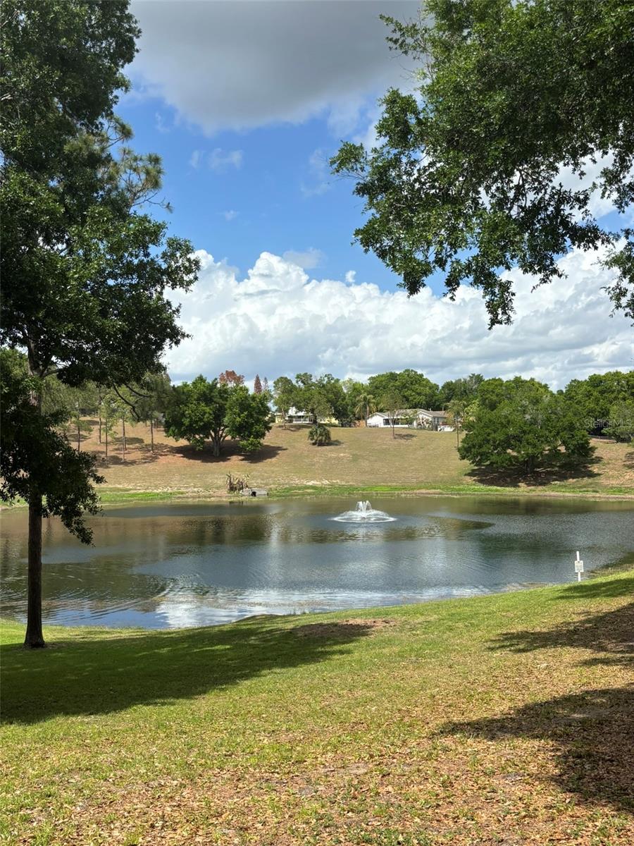 14406 N GREATER HILLS BLVD, CLERMONT, FL, 34711