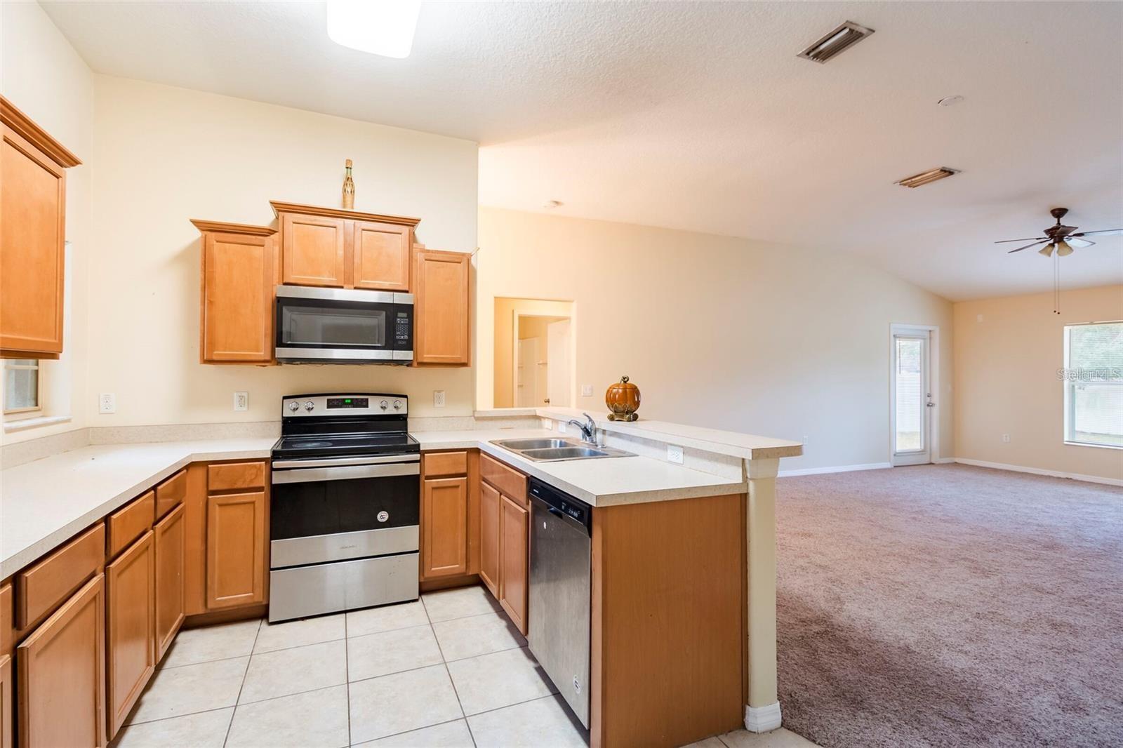 8117 ALAMOSA WOOD AVE, RUSKIN, FL, 33573