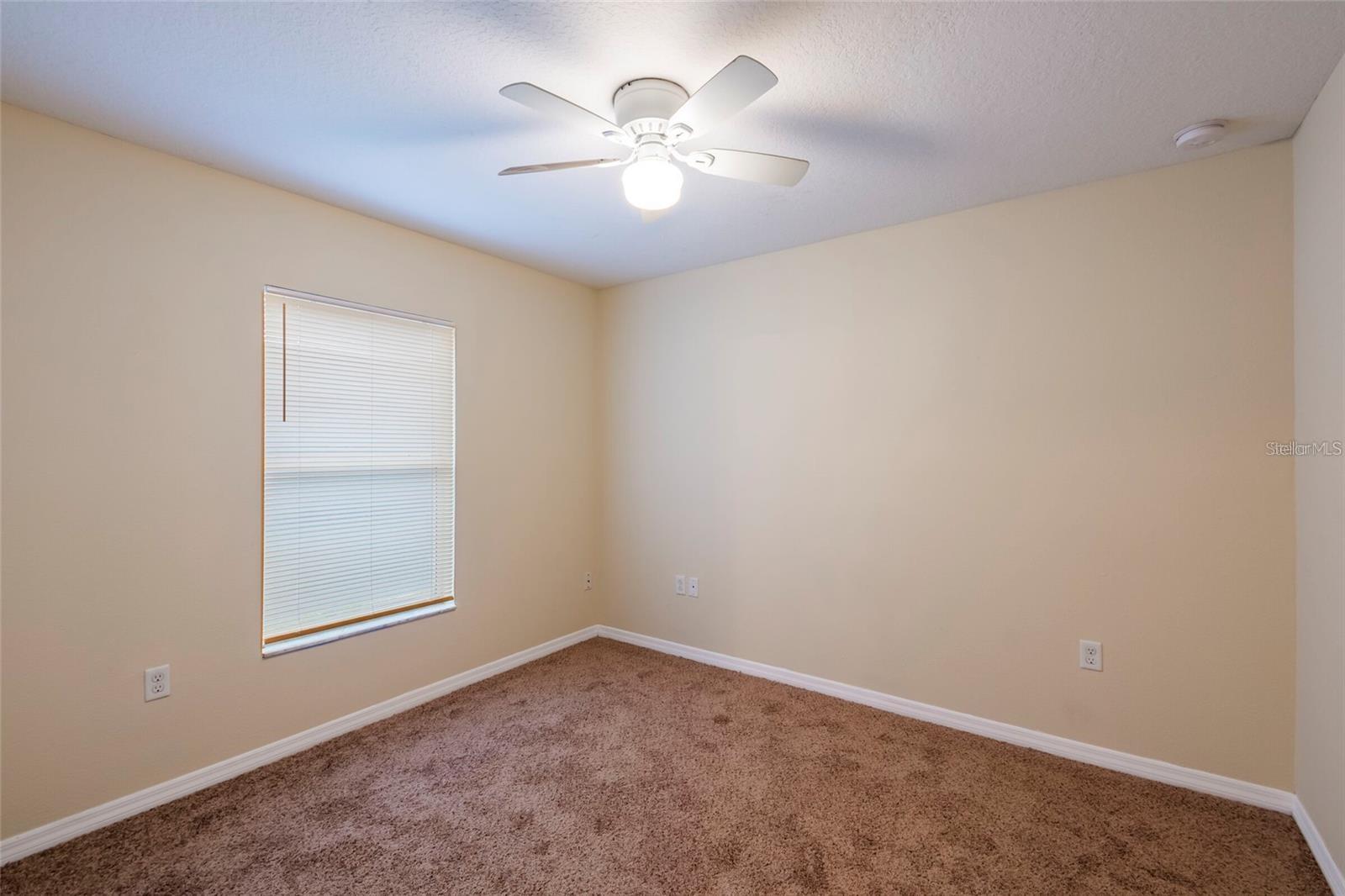 8117 ALAMOSA WOOD AVE, RUSKIN, FL, 33573