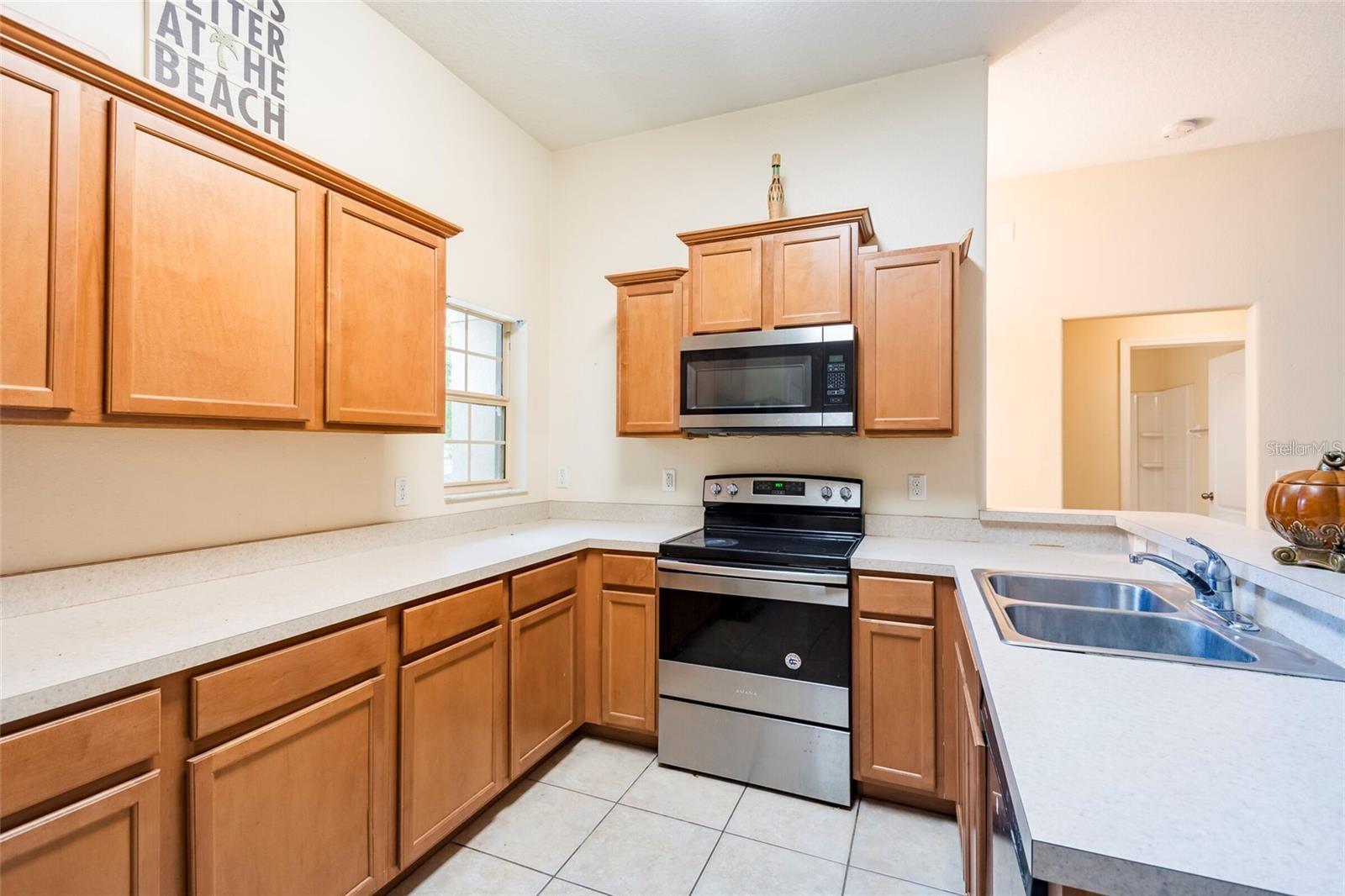 8117 ALAMOSA WOOD AVE, RUSKIN, FL, 33573