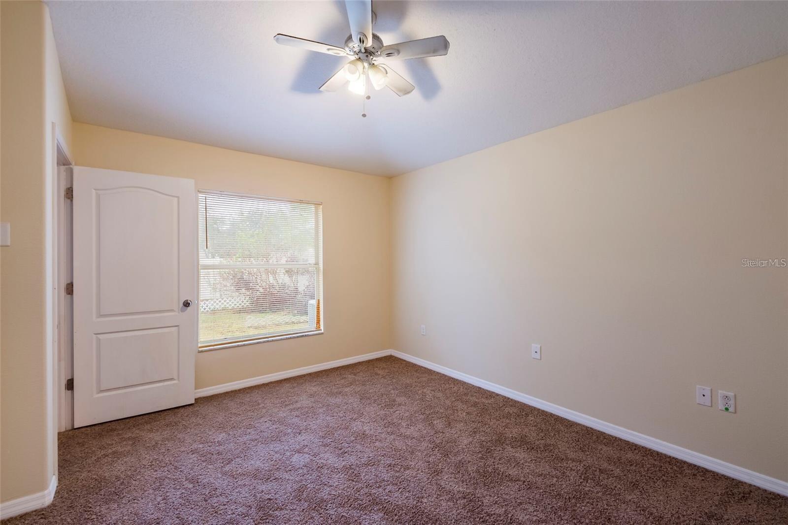 8117 ALAMOSA WOOD AVE, RUSKIN, FL, 33573