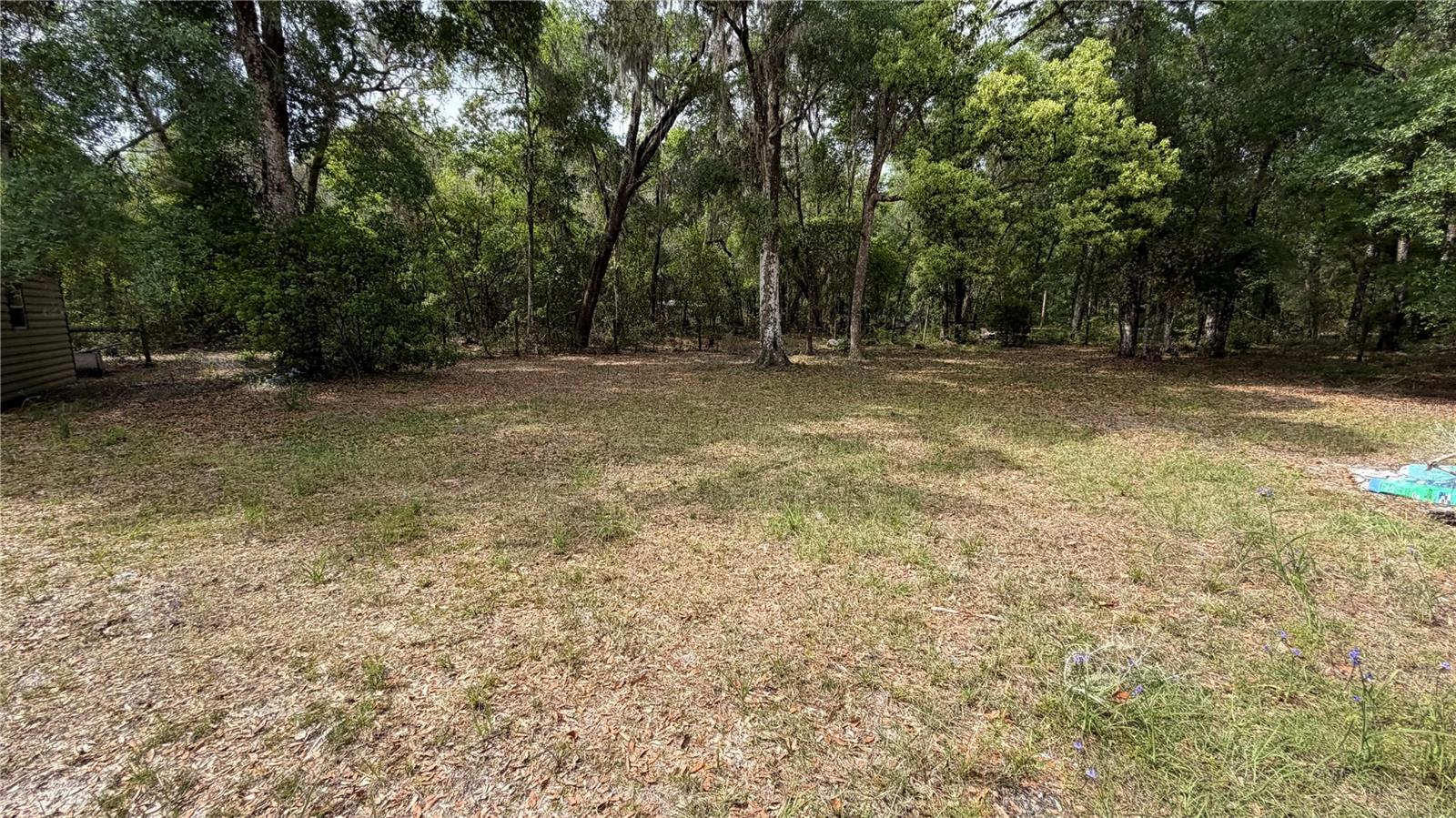 107 ELIAM RD, MELROSE, FL, 32666