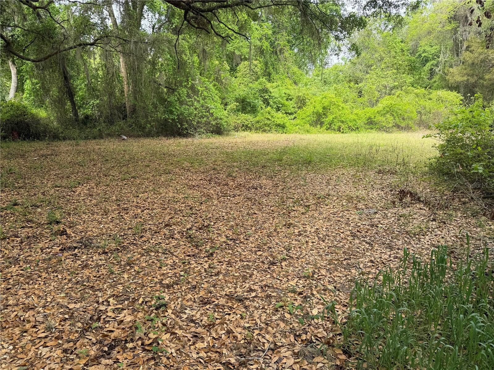 7526 NE 221ST ST, MELROSE, FL, 32666