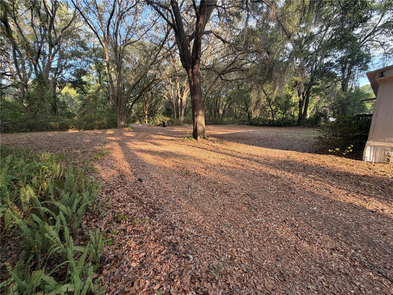 7526 NE 221ST ST, MELROSE, FL, 32666