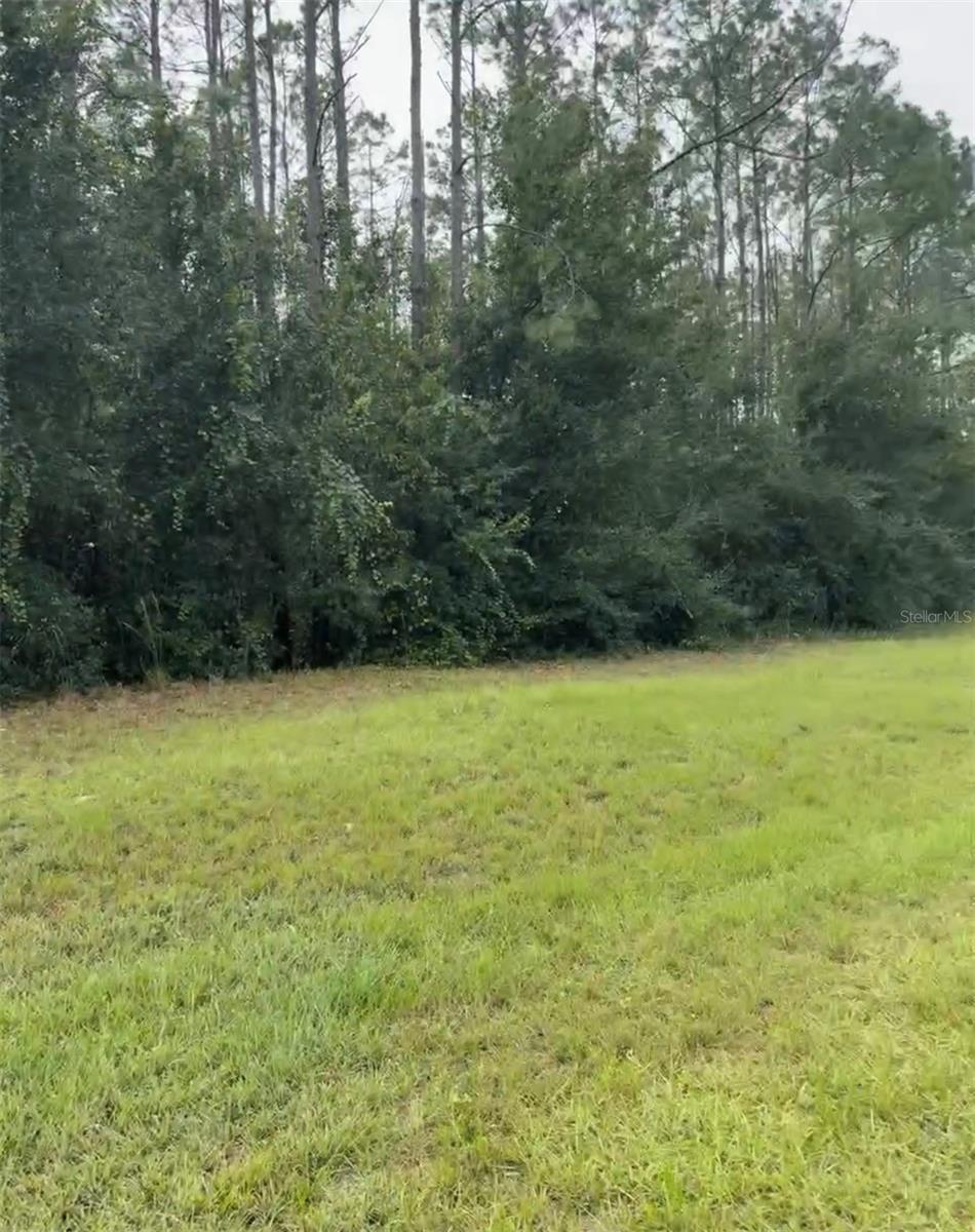 LAKE SMITH RD, UMATILLA, FL, 32784