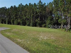 LAKE SMITH RD, UMATILLA, FL, 32784