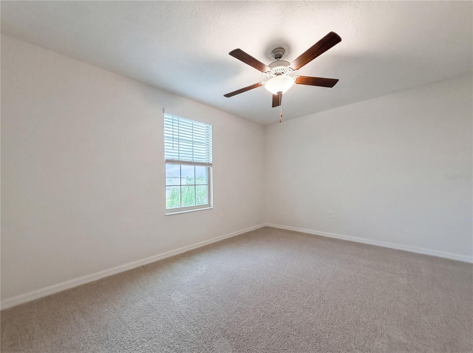 11849 BLACKEYED SUSAN DR, RIVERVIEW, FL, 33579