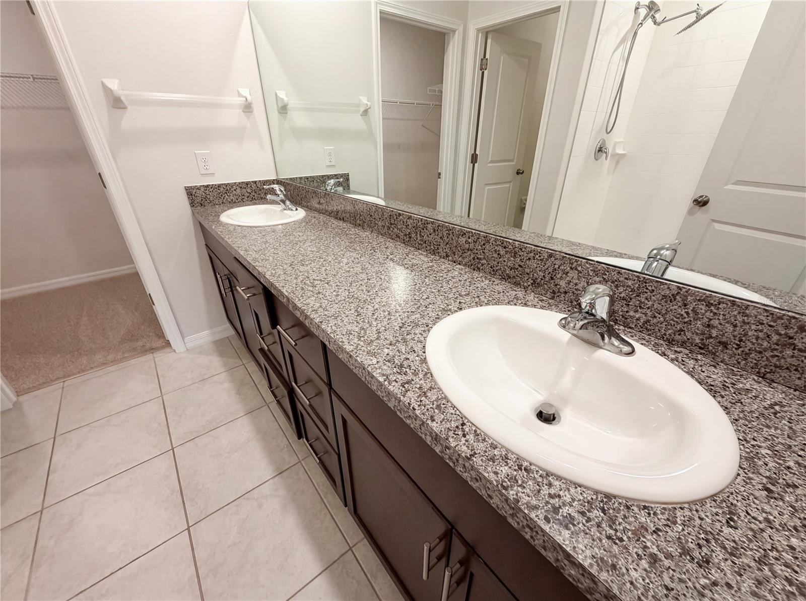 11849 BLACKEYED SUSAN DR, RIVERVIEW, FL, 33579