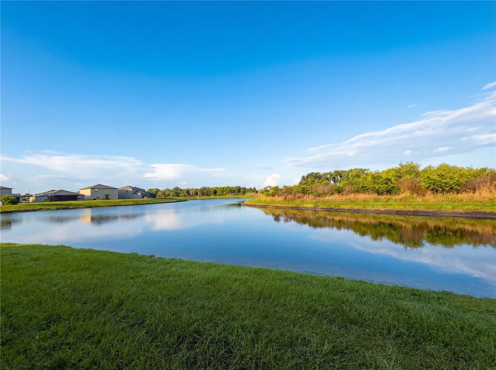 11849 BLACKEYED SUSAN DR, RIVERVIEW, FL, 33579