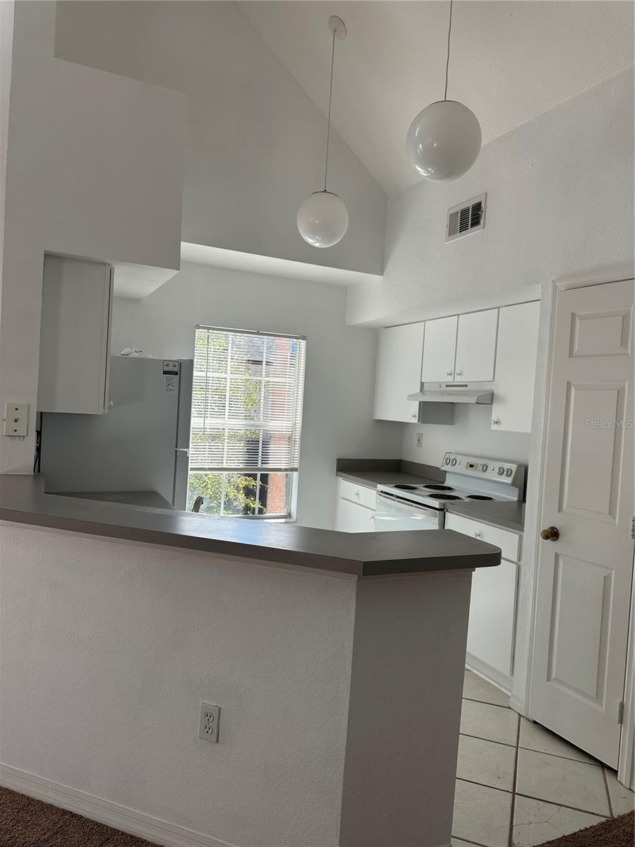 LAKE CHASE CONDO, TAMPA, FL, 33626