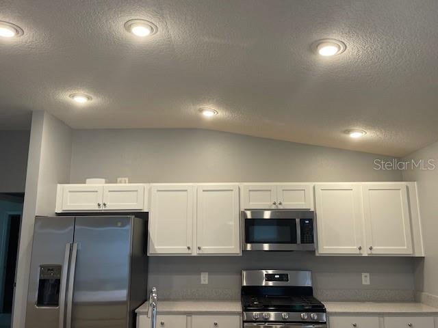 1221 SEAN CURRAN CT, THE VILLAGES, FL, 34762