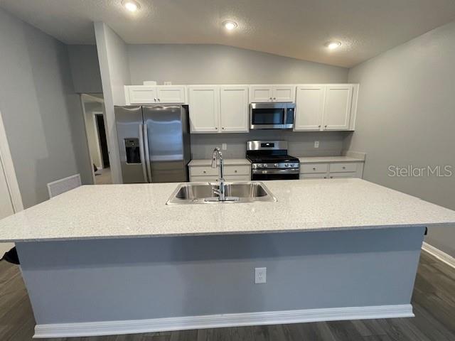 1221 SEAN CURRAN CT, THE VILLAGES, FL, 34762