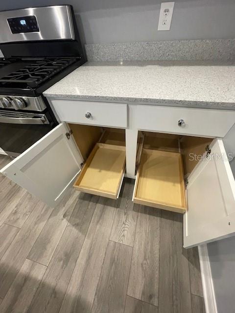 1221 SEAN CURRAN CT, THE VILLAGES, FL, 34762