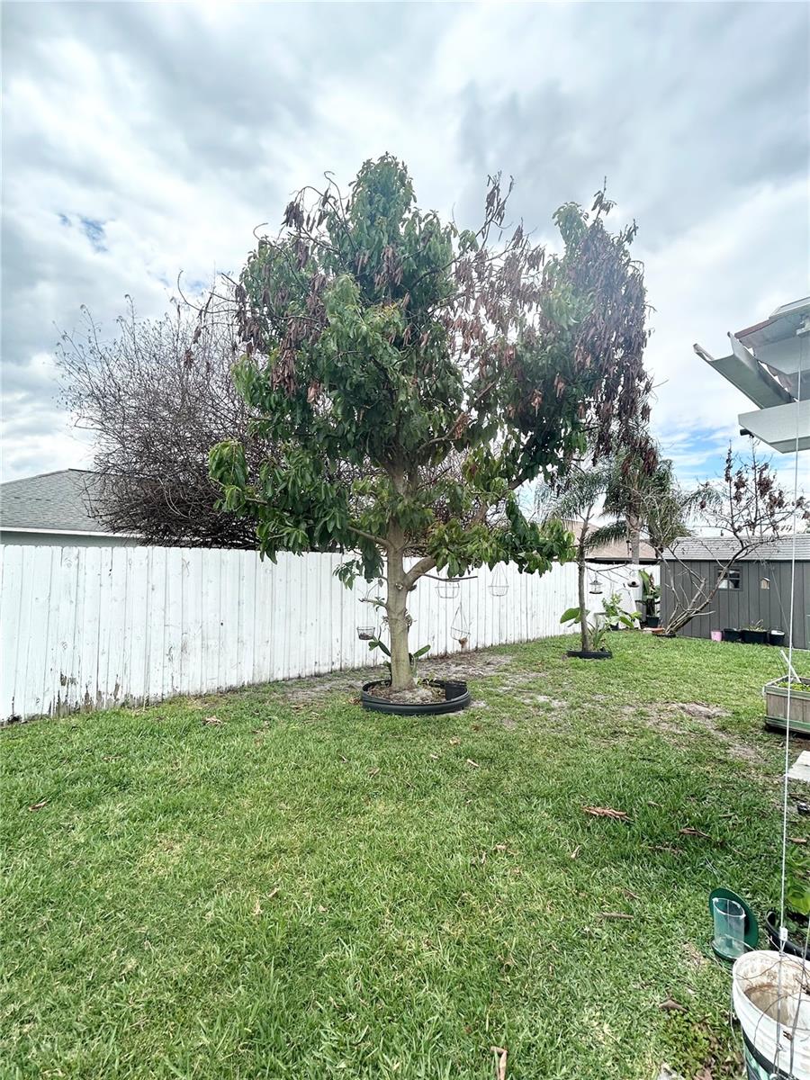 4202 CRACKER CT, ST CLOUD, FL, 34772