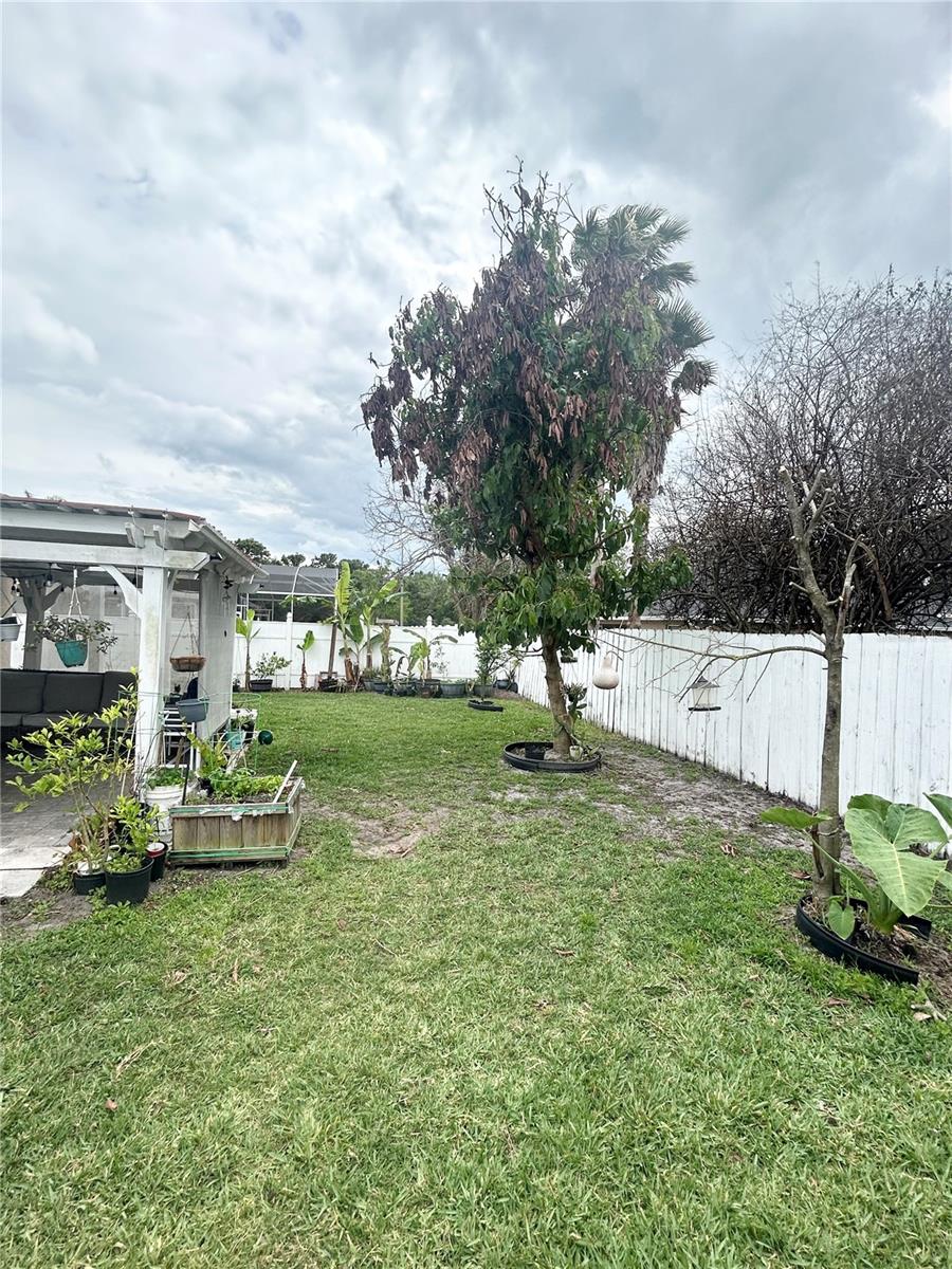 4202 CRACKER CT, ST CLOUD, FL, 34772