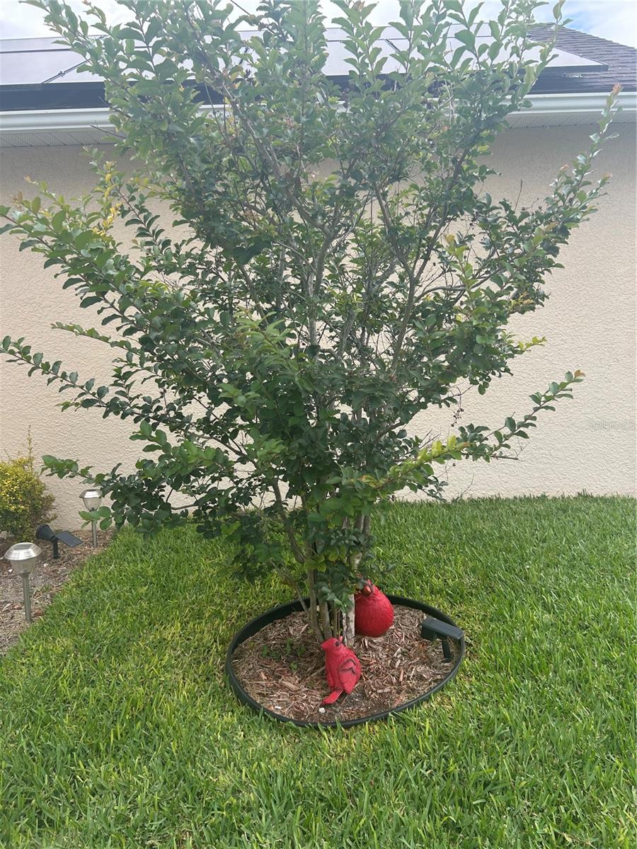 4202 CRACKER CT, ST CLOUD, FL, 34772