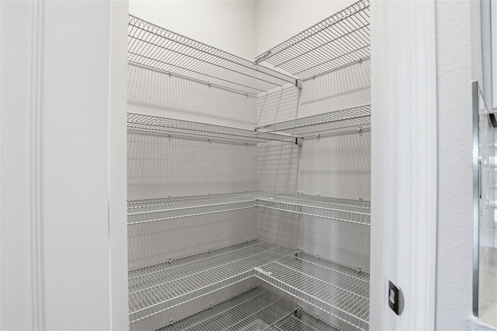 10715 IRONWOOD TREE WAY, SAN ANTONIO, FL, 33576