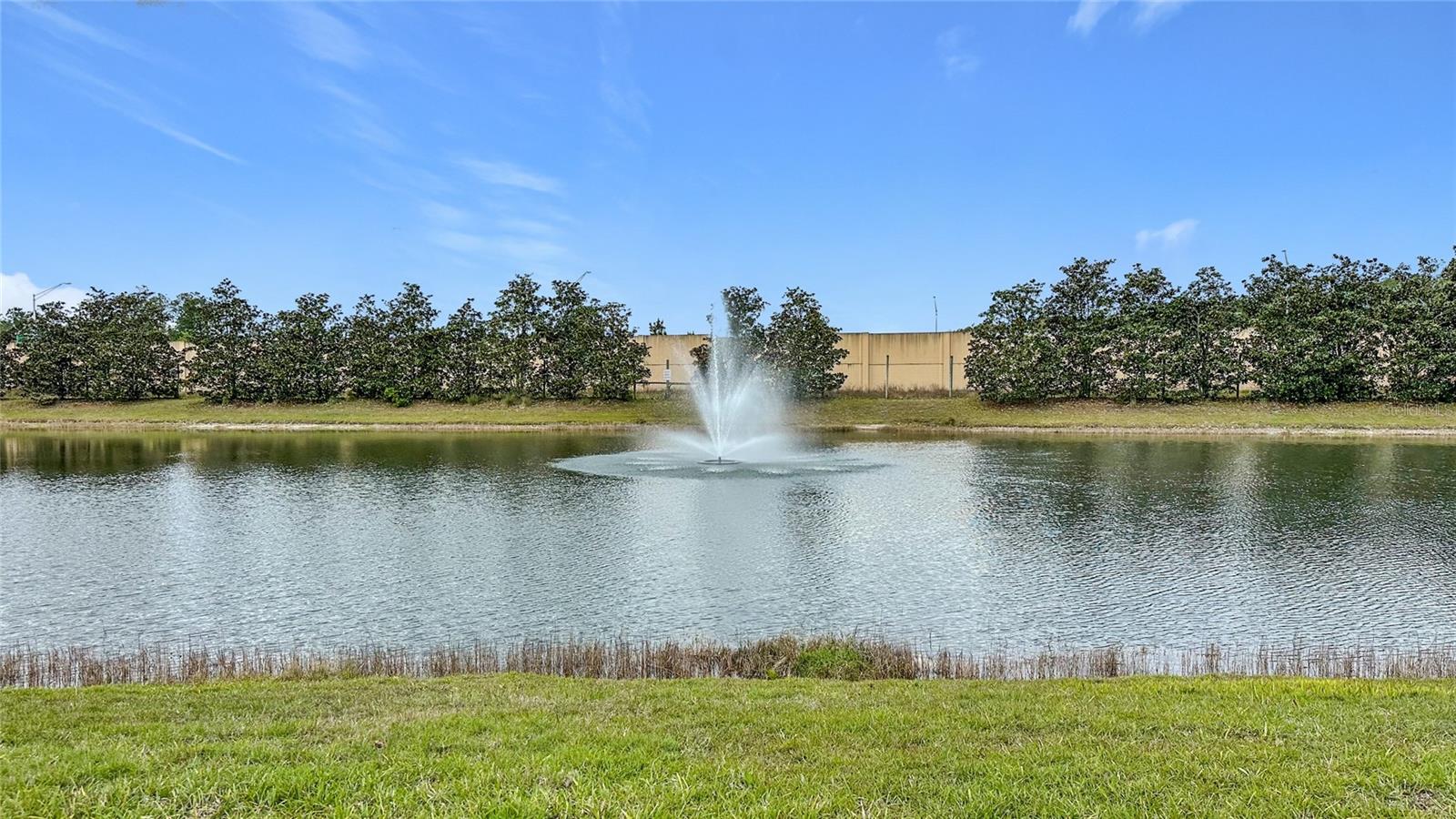 14160 MAHOGANY AVE, JACKSONVILLE, FL, 32258