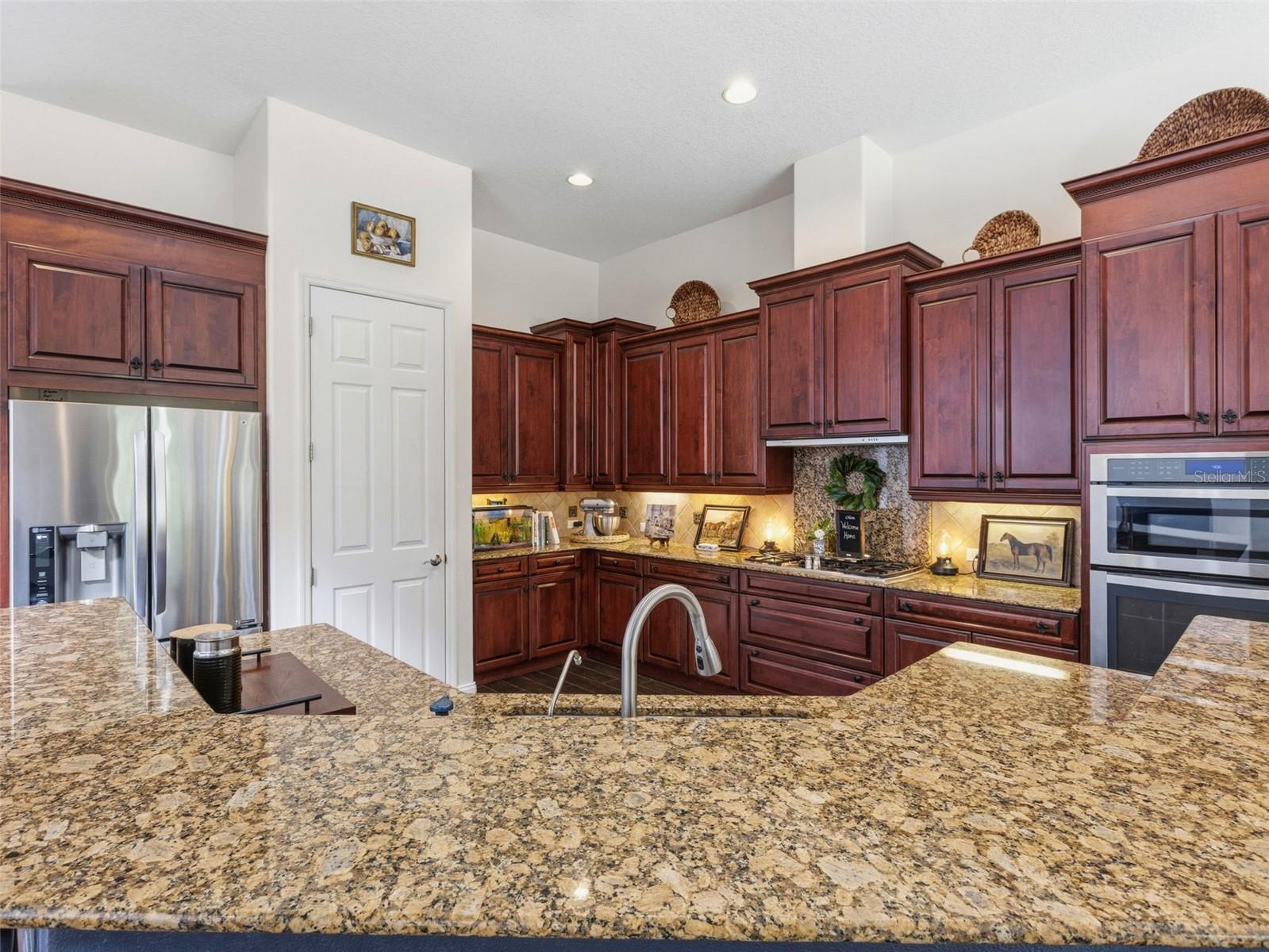 6121 AVOCETRIDGE DR, LITHIA, FL, 33547