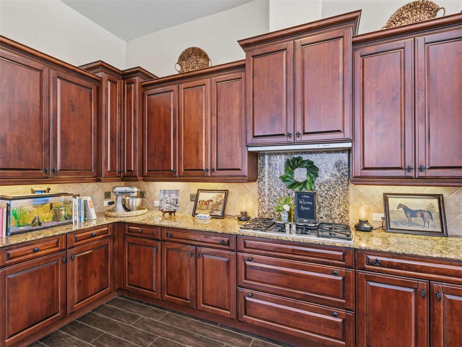 6121 AVOCETRIDGE DR, LITHIA, FL, 33547