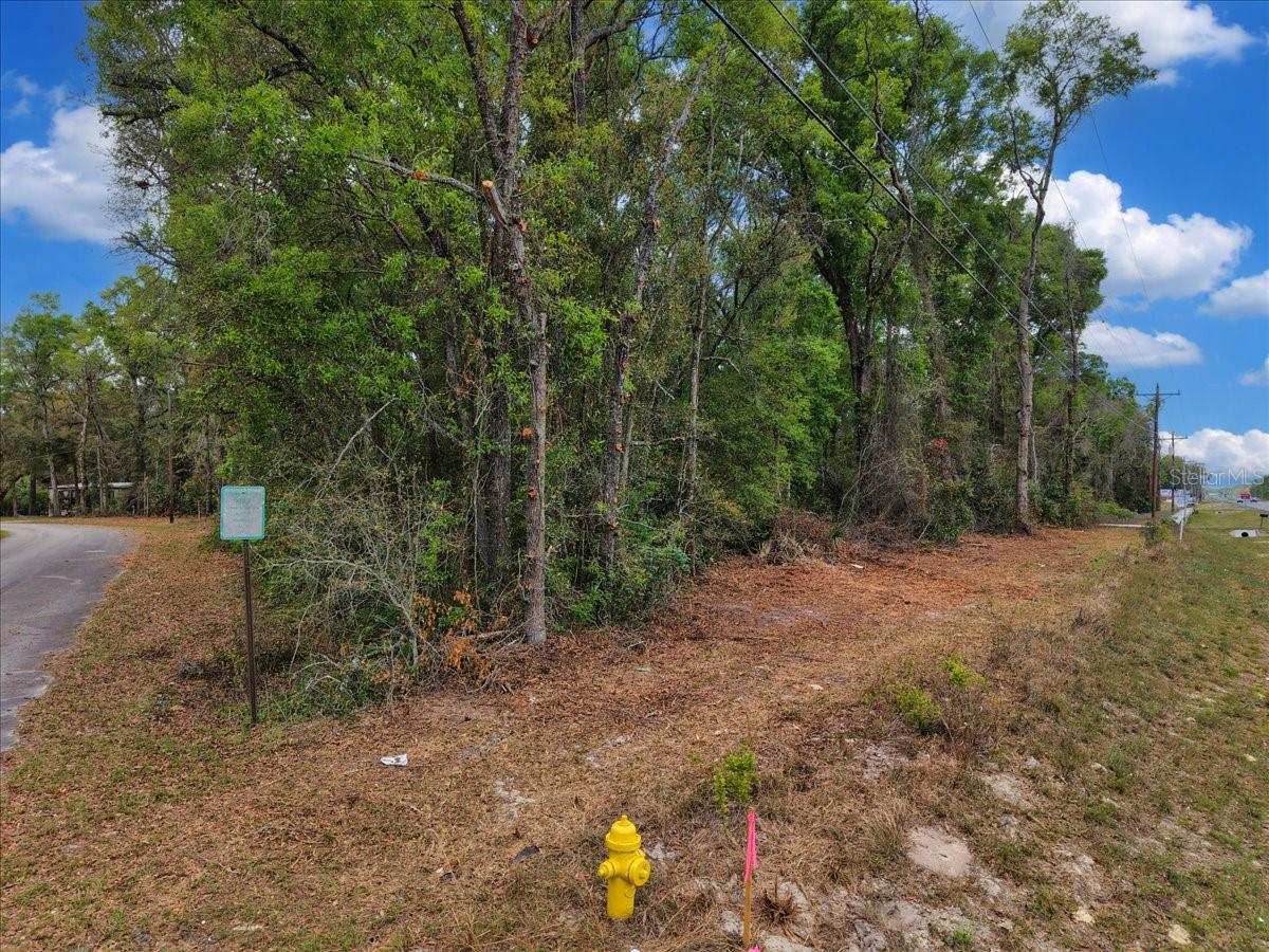 000 NW US HWY 19, FANNING SPRINGS, FL, 32693