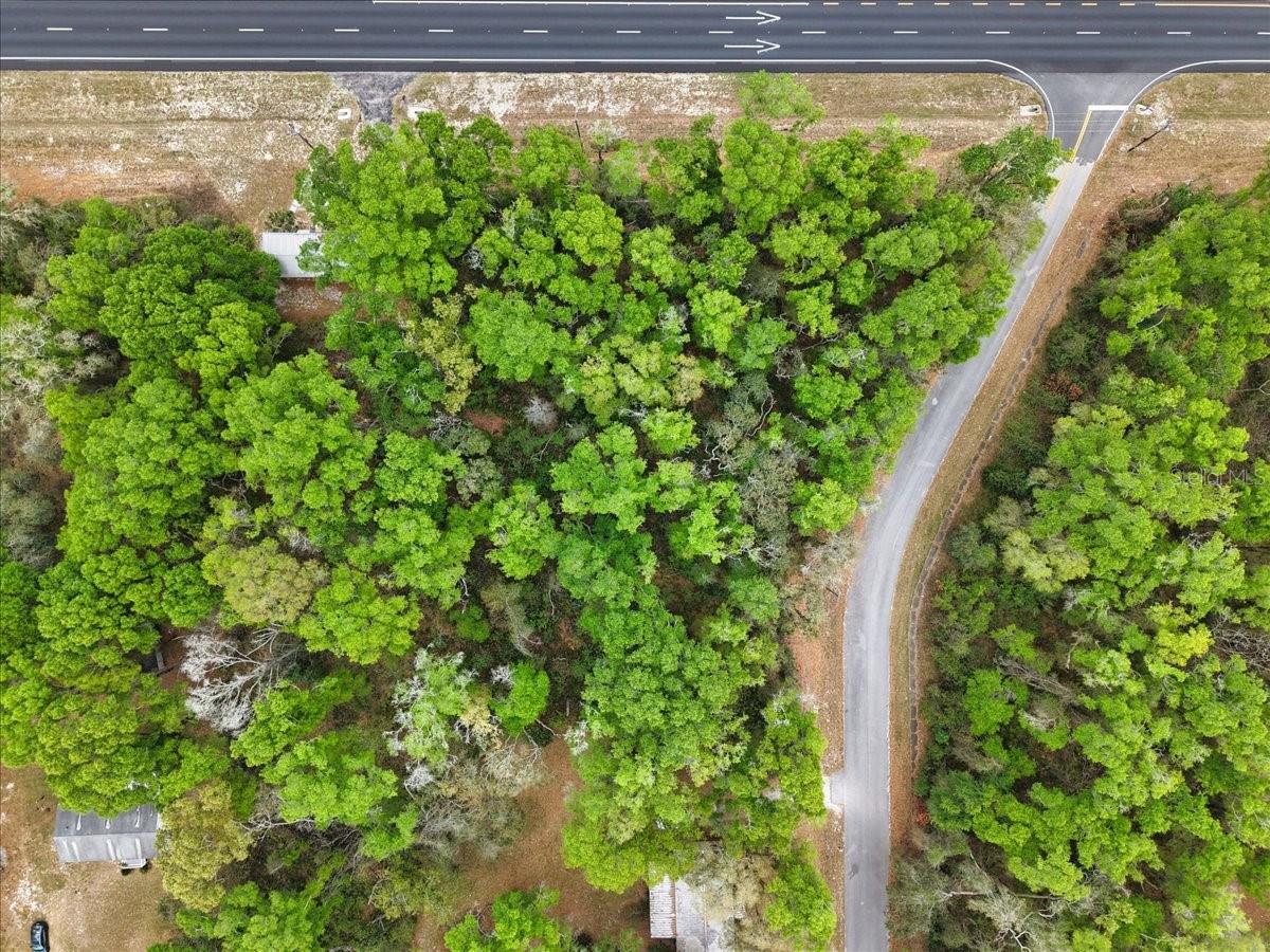 000 NW US HWY 19, FANNING SPRINGS, FL, 32693