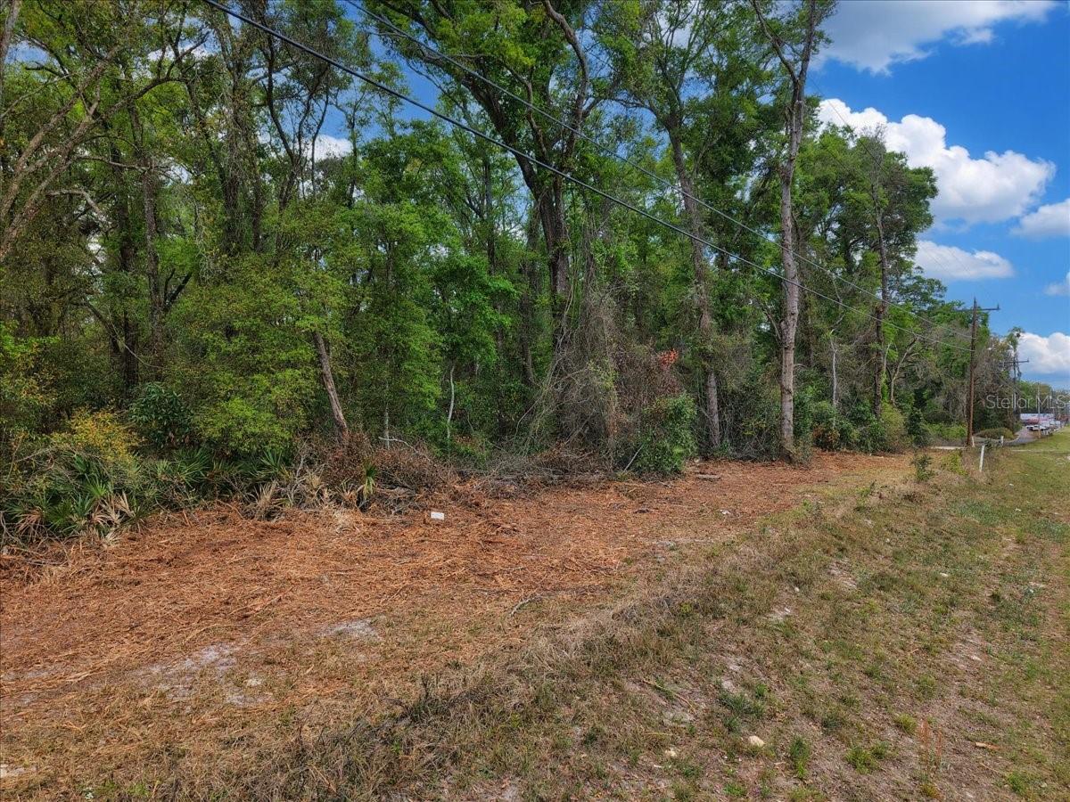 000 NW US HWY 19, FANNING SPRINGS, FL, 32693