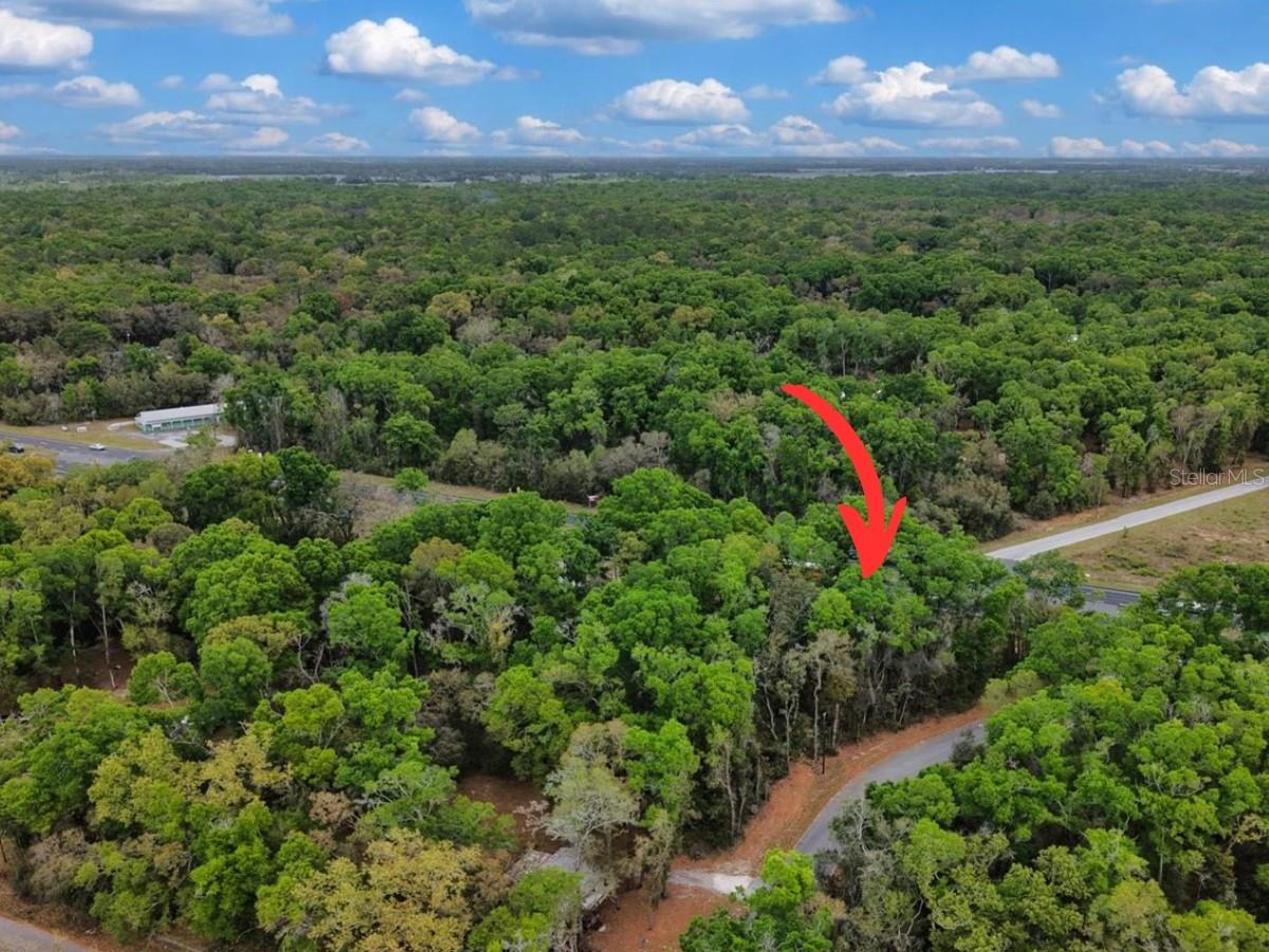 000 NW US HWY 19, FANNING SPRINGS, FL, 32693