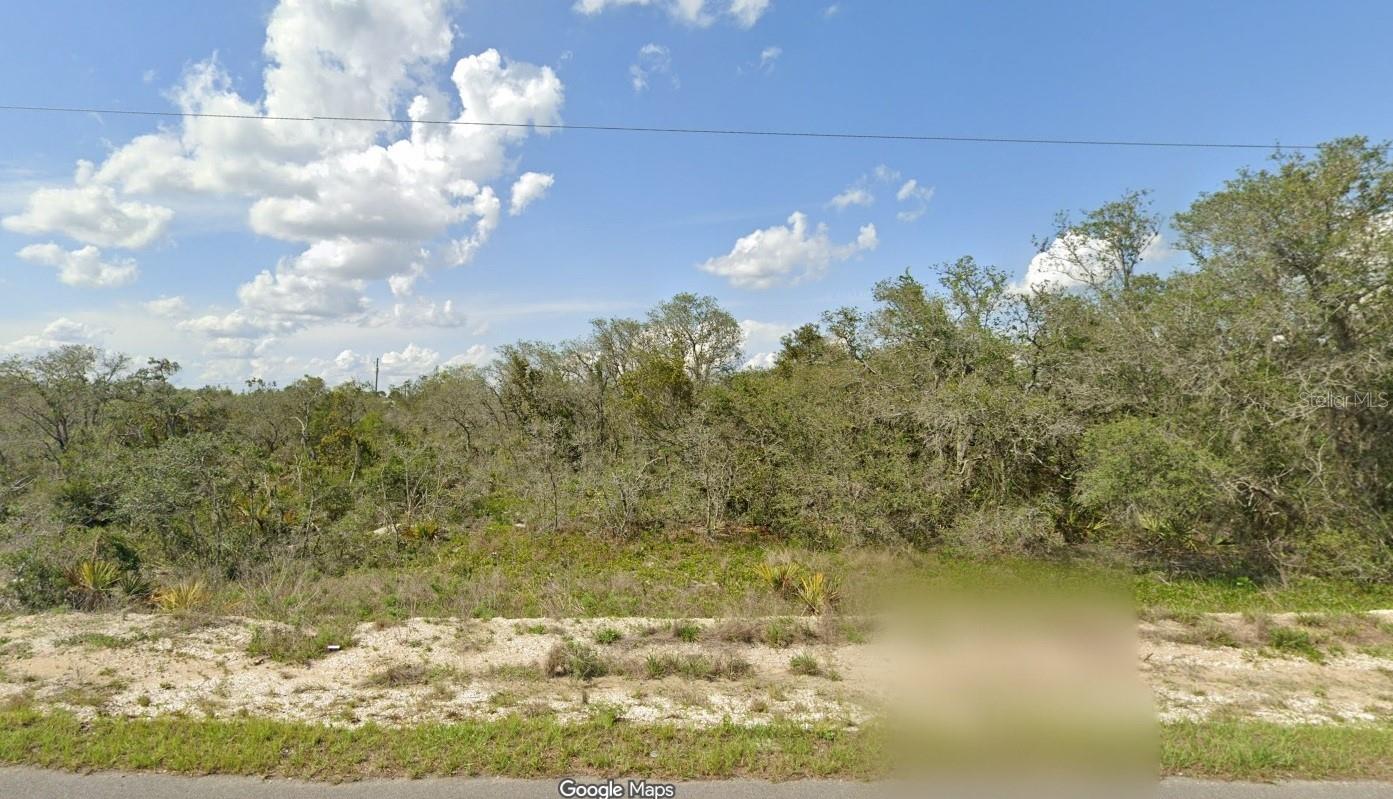 445 SUNDOWN CT, LAKE PLACID, FL, 33852