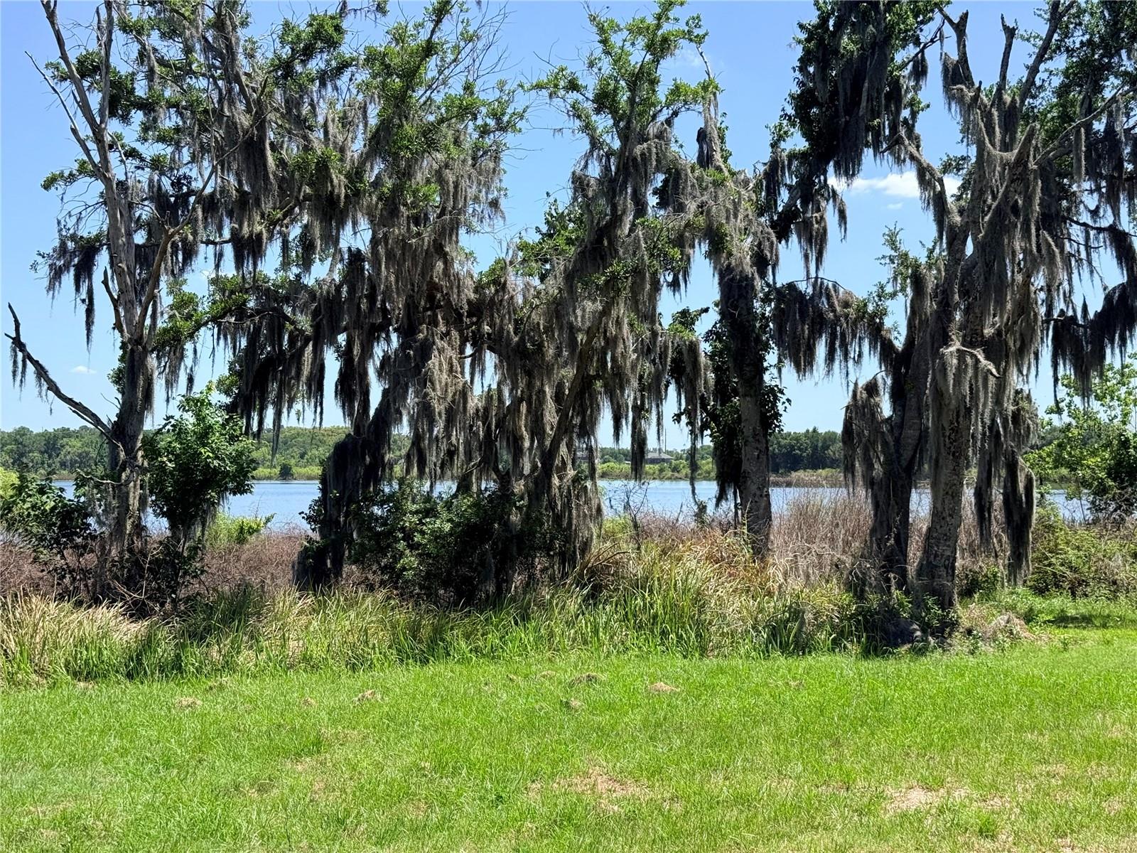 9028 MCKENDREE RD, WESLEY CHAPEL, FL, 33545