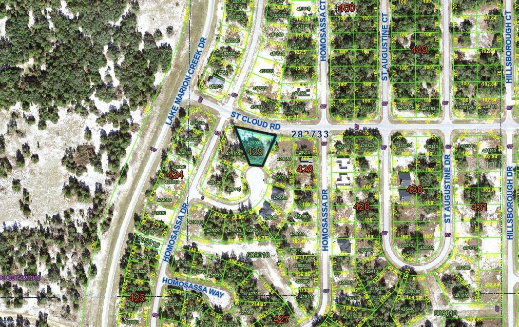 607 HOMOSASSA LN, POINCIANA, FL, 34759