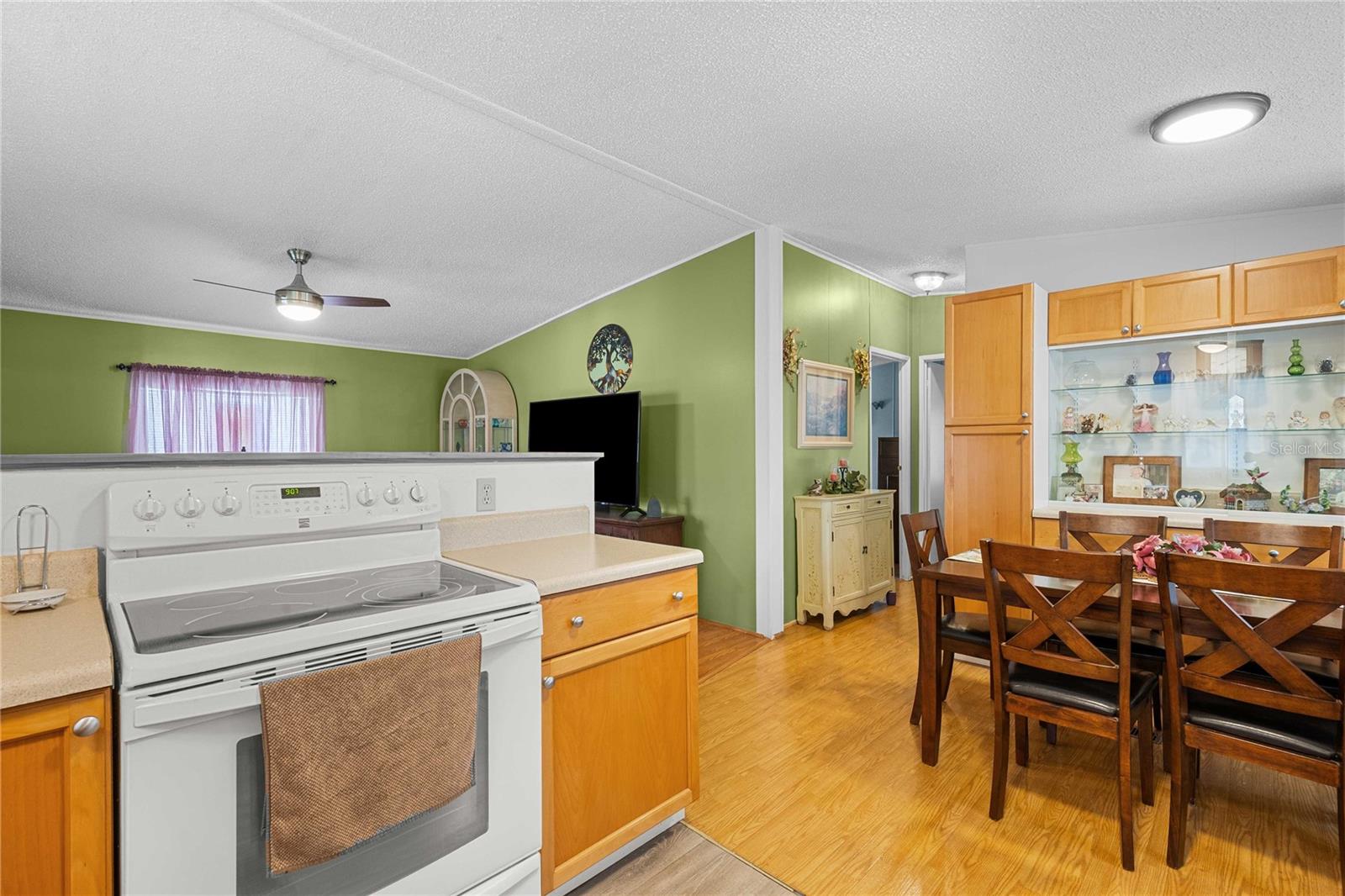 3843 CHRIS DR, WESLEY CHAPEL, FL, 33543